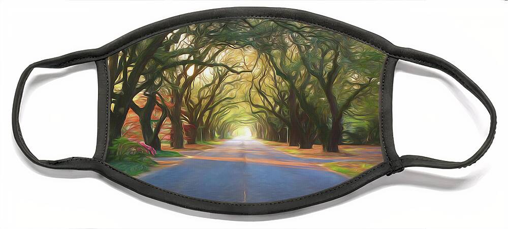 South Boundary Face Mask featuring the photograph Aiken South Boundary II by Shirley Radabaugh