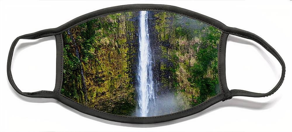 Nature Face Mask featuring the photograph Akaka Falls by Christopher Holmes