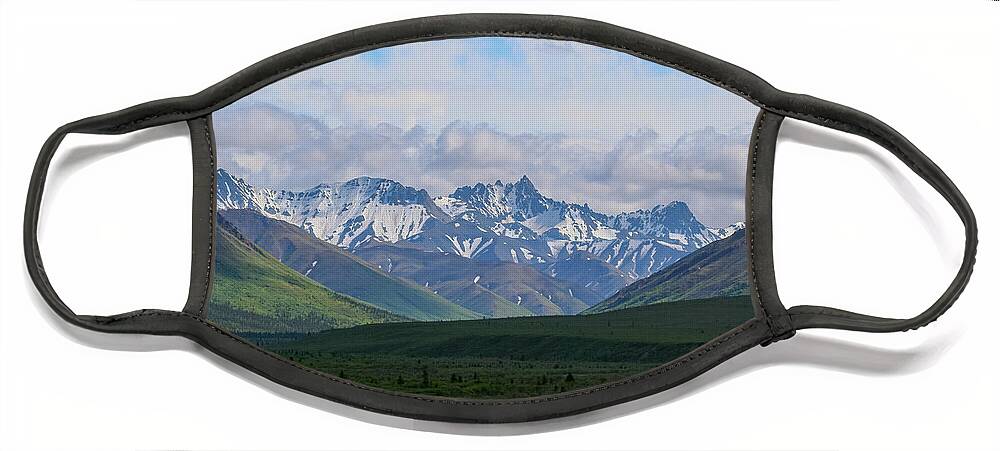Nature Face Mask featuring the photograph Alaskan Vista by Lee Alloway