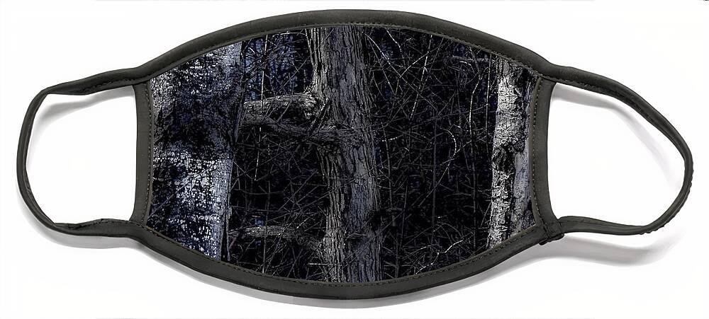 Face Mask featuring the photograph All Bark by Kendall McKernon