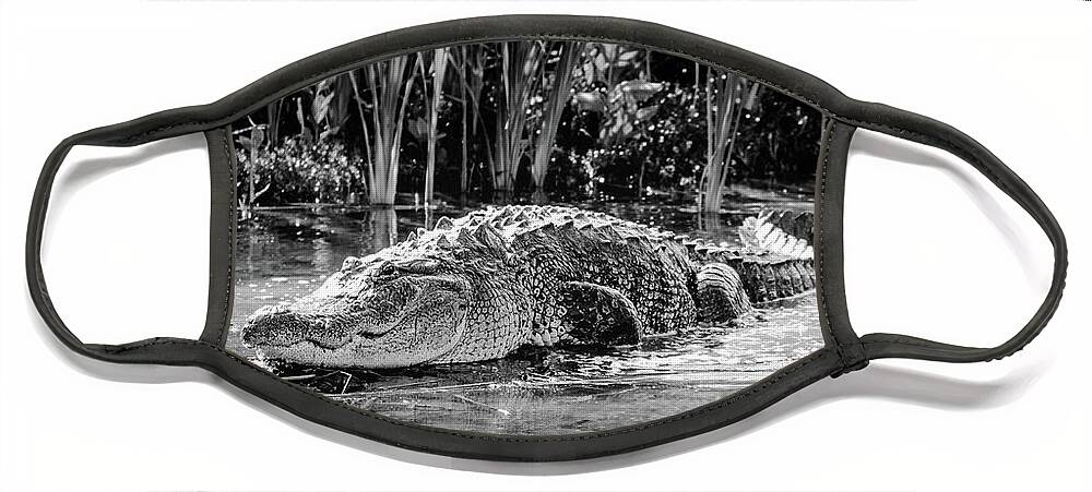 Alligator Bags Of Port Aransas Face Mask featuring the photograph Alligator Bags of Port Aransas by Debra Martz