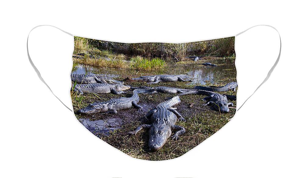 Nature Face Mask featuring the photograph Alligators 280 by Michael Fryd