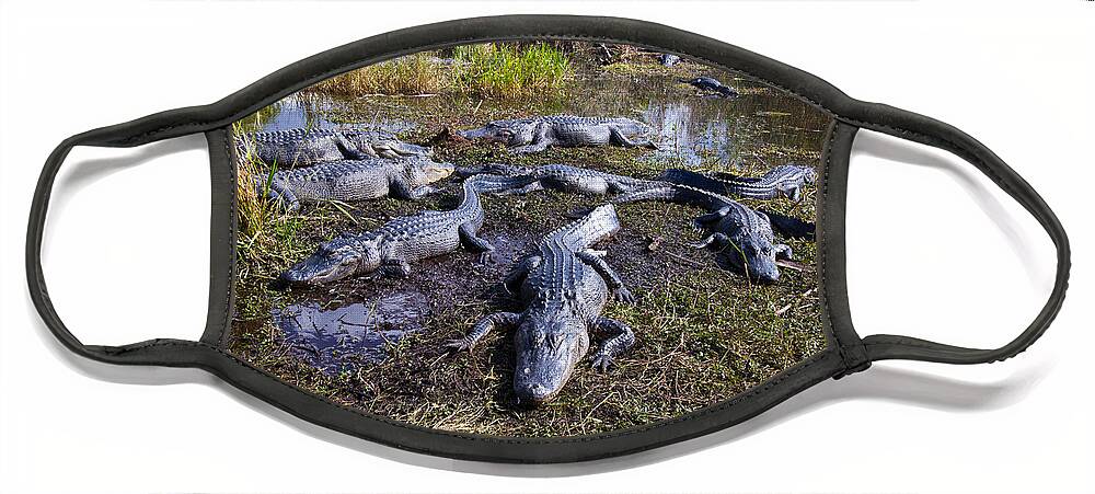 Nature Face Mask featuring the photograph Alligators 280 by Michael Fryd