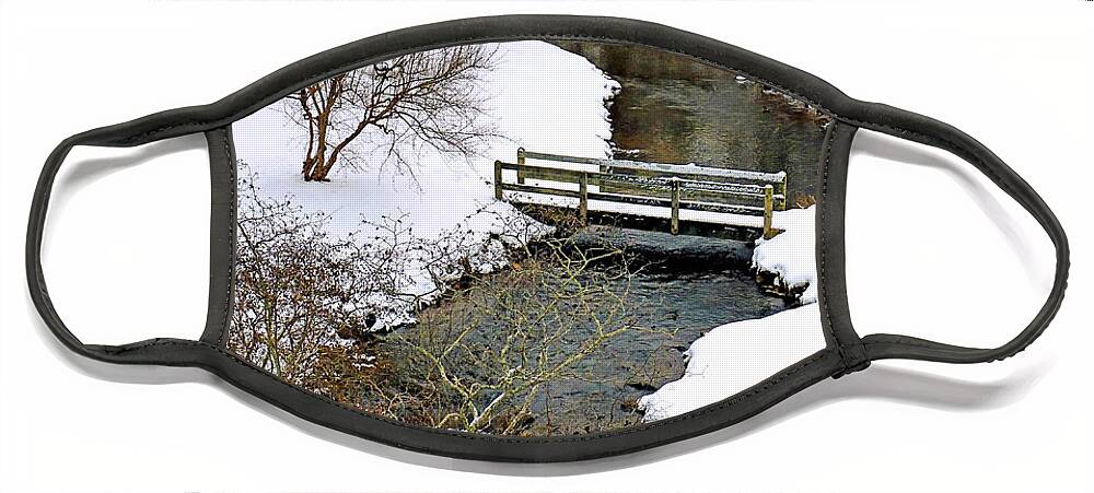 Town Brook Face Mask featuring the photograph Along Town Brook Plymouth MA by Janice Drew