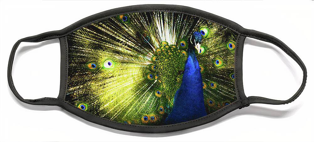 Peacock Face Mask featuring the photograph Amazing Peacock by Jennifer Craft