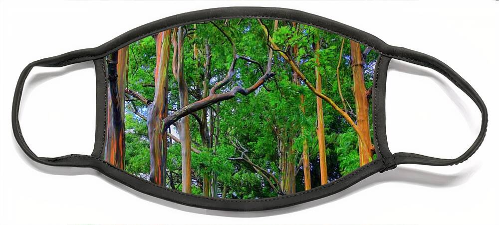 Hdr Face Mask featuring the photograph Amazing Rainbow Eucalyptus by DJ Florek