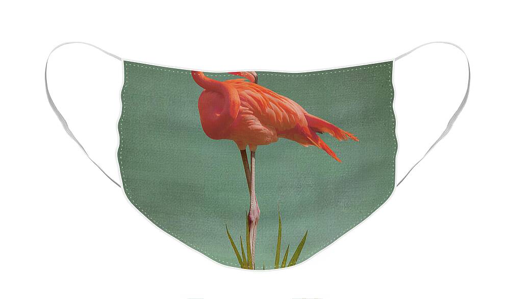 Bird Face Mask featuring the digital art American Flamingo by M Spadecaller