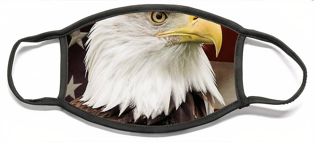 American Freedom Face Mask featuring the photograph American Freedom by Dale Kincaid