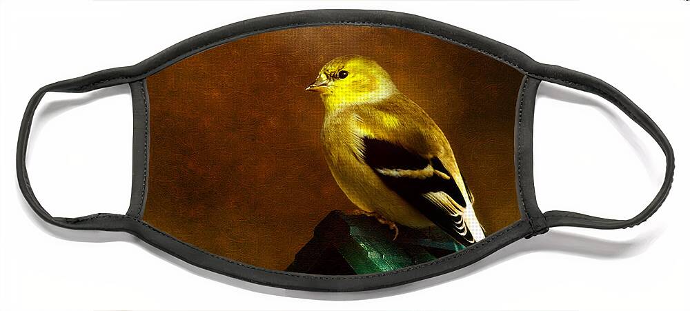 Finch Face Mask featuring the photograph American Gold Finch in Texture by Lana Trussell