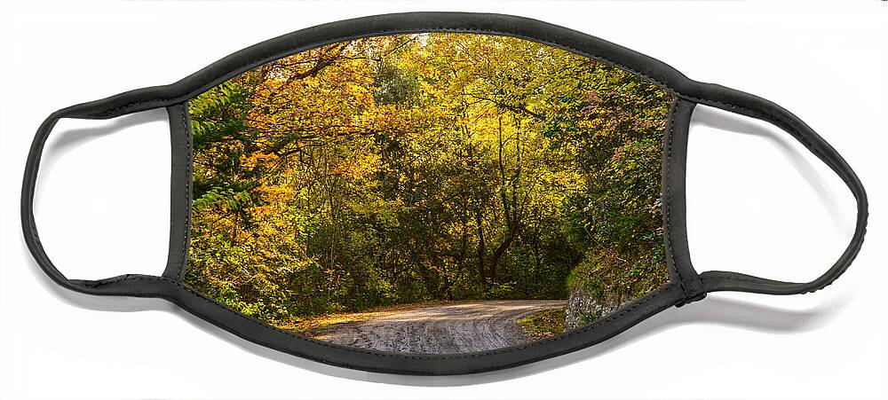 Fall Face Mask featuring the photograph An autumn landscape - HDR 2 by AM FineArtPrints