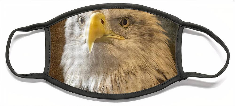 Eagle Face Mask featuring the photograph An Eagles Majesty by Bill and Linda Tiepelman
