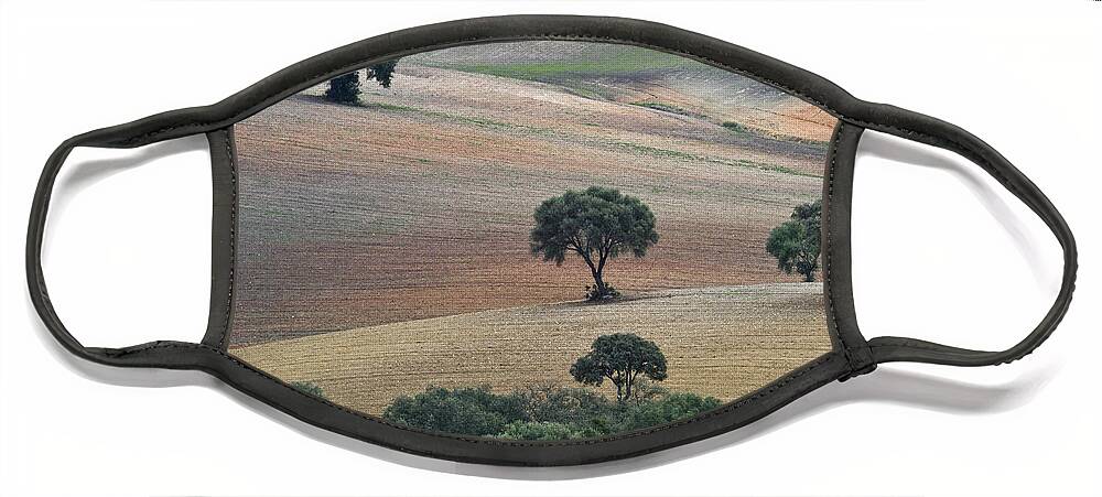 Landscape Face Mask featuring the photograph Andalusian Landscape by Heiko Koehrer-Wagner