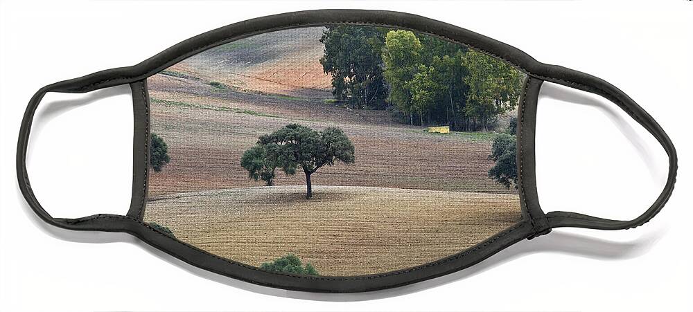 Landscape Face Mask featuring the photograph Andalusian Meadows 1 by Heiko Koehrer-Wagner