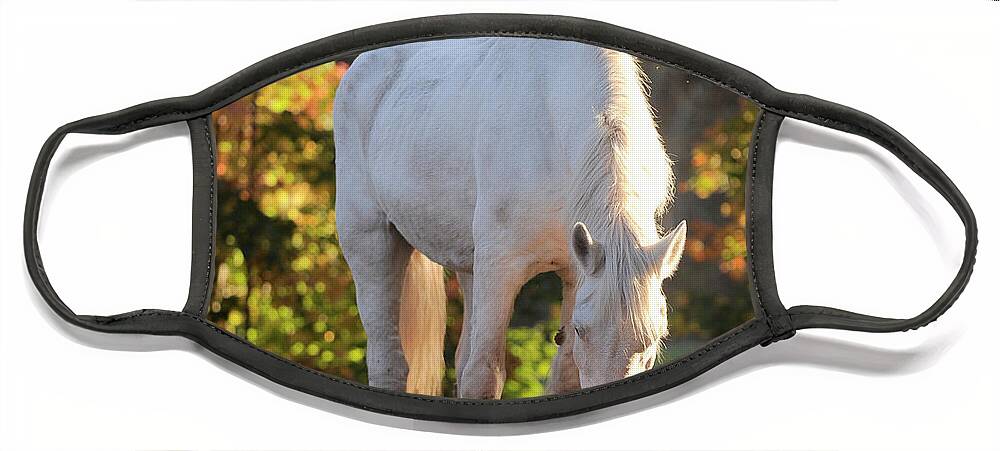 Rescue Horse Face Mask featuring the photograph Annie and the Hens by Carien Schippers