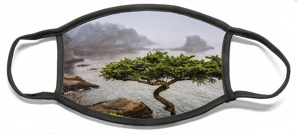 Bonsai Face Mask featuring the photograph Another Bonsai by Carrie Cole