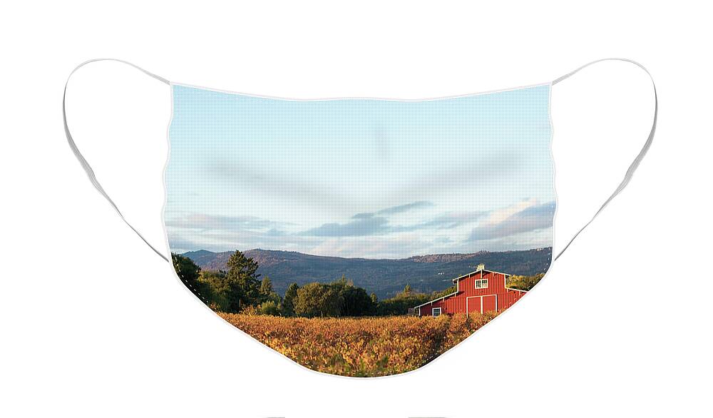 Red Barn Face Mask featuring the photograph Another Napa Valley Red Barn by Aileen Savage