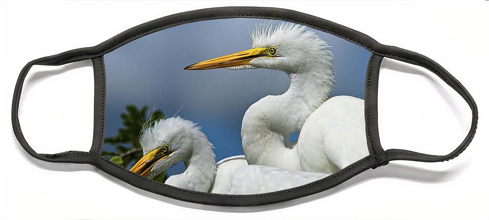 Egret Face Mask featuring the photograph Anxiously Waiting by Christopher Holmes