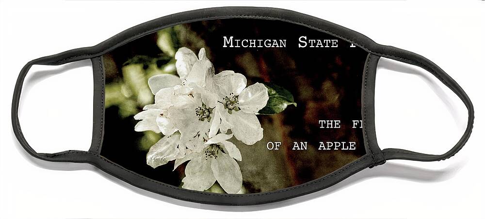 Apple Blossom Face Mask featuring the photograph Apple Blossom by Definition Michigan by Sharon Popek