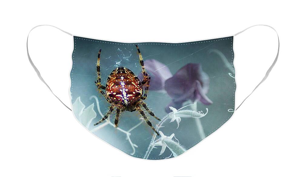 Araneus Face Mask featuring the photograph Araneus Spider with Flowers by Eva-Maria Di Bella