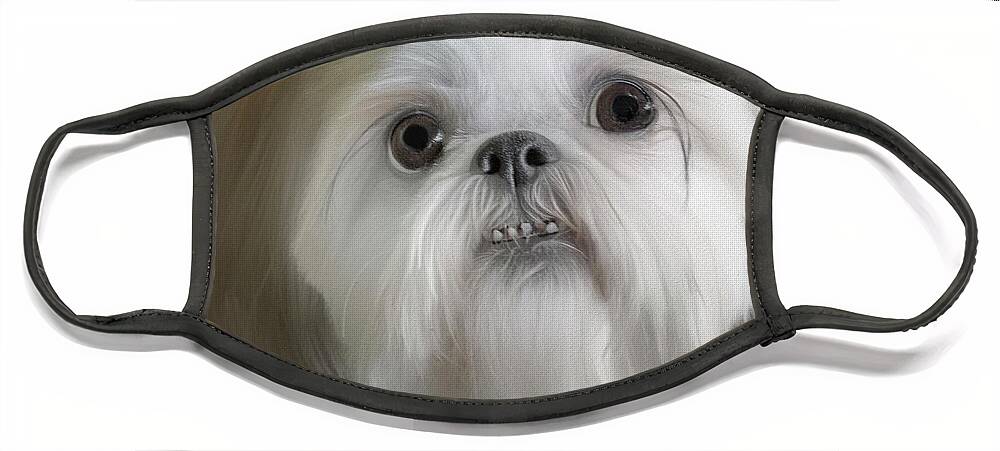 Shih Tzu Face Mask featuring the photograph Are You Going to Eat That? - Shih Tzu by Mitch Spence