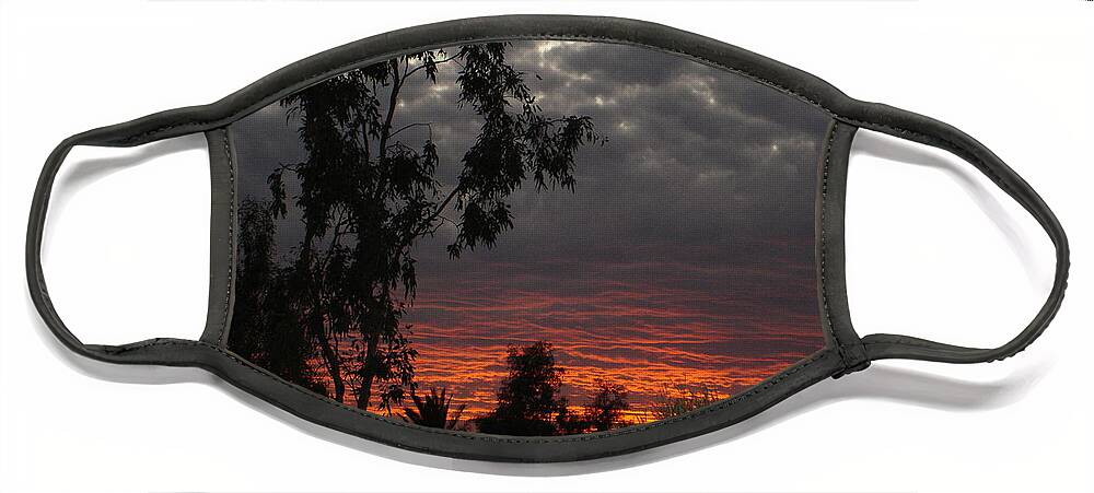 Landscape Face Mask featuring the photograph Arizona Sunset II by Lessandra Grimley
