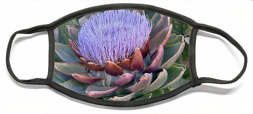 Plant Face Mask featuring the photograph Artichoke Flower by Inga Spence