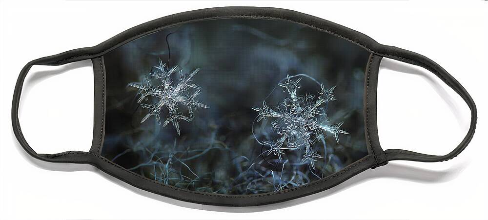 Snowflake Face Mask featuring the photograph Snowflake photo - When winters meets - 2 by Alexey Kljatov