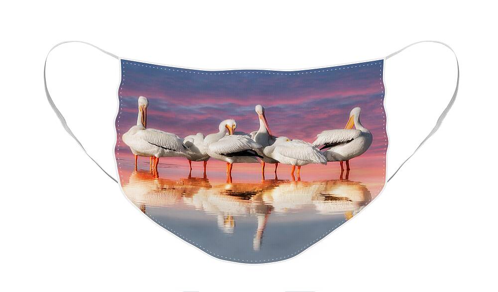 Pelican Face Mask featuring the photograph As The Sun Goes Down by Kim Hojnacki