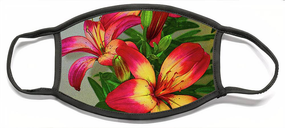 Asian Lilly Spring Time Face Mask featuring the digital art Asian Lilly Spring Time by Tom Janca