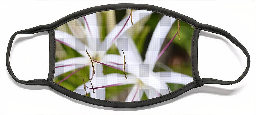 Kauai Face Mask featuring the photograph Asiatic Poison Lily 2 by Amy Fose