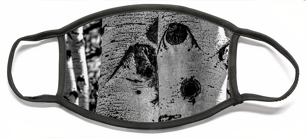 Aspen Trees Face Mask featuring the photograph Aspen Bark by Michael Brungardt