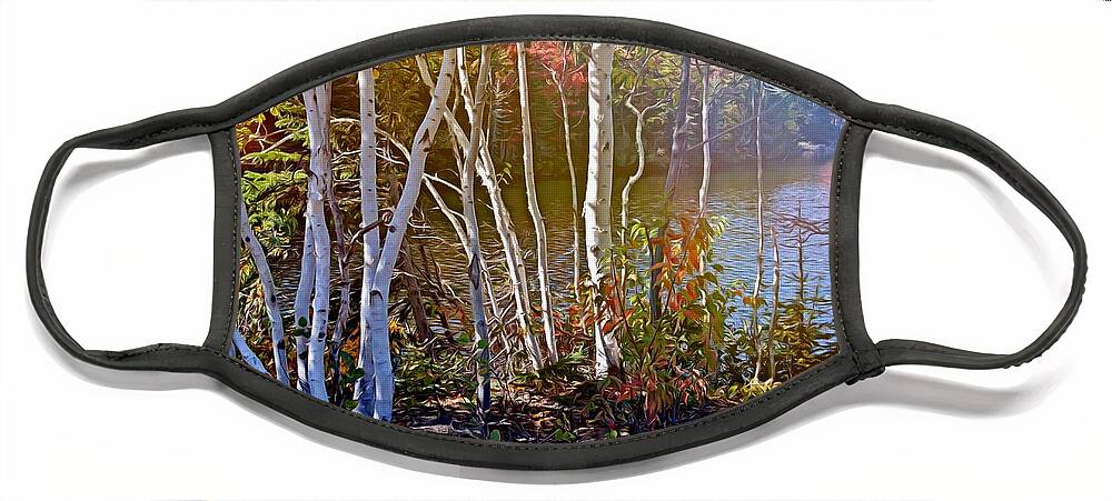 Trees Face Mask featuring the mixed media Aspen trees in the fall by Tatiana Travelways