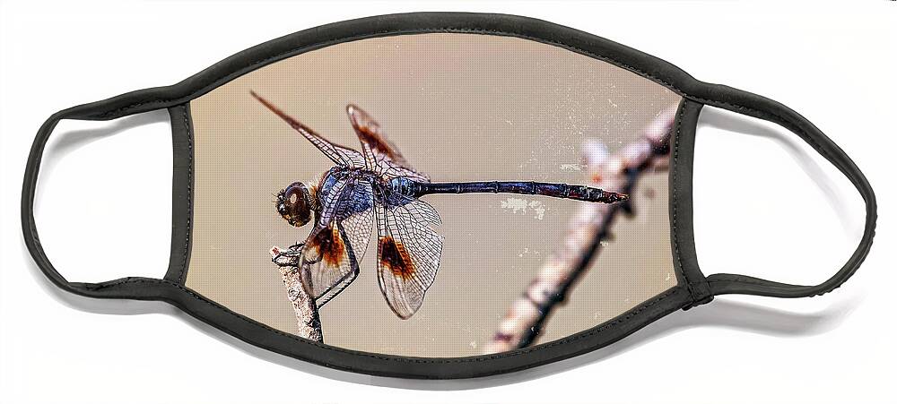 Dragonflies Face Mask featuring the digital art Attached by DB Hayes