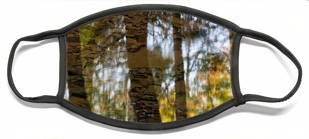 Reflection Face Mask featuring the photograph Autumn Abstract by Denise Bush