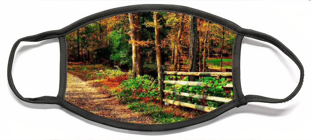Autumn Face Mask featuring the photograph Autumn Moment - Allaire State Park by Angie Tirado