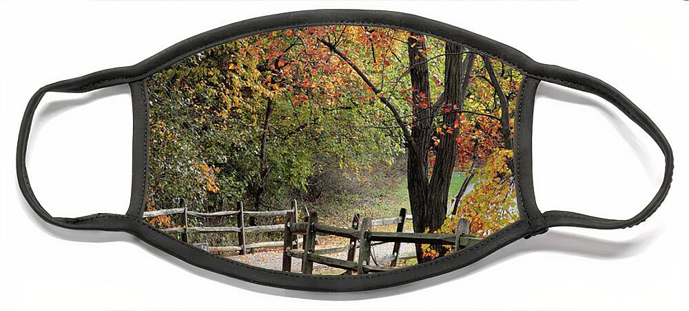 Autumn Face Mask featuring the photograph Autumn Path in Park in Maryland by William Kuta