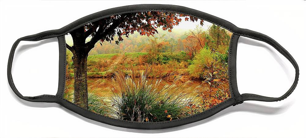 Autumn Face Mask featuring the photograph Autumn Views by Allen Nice-Webb