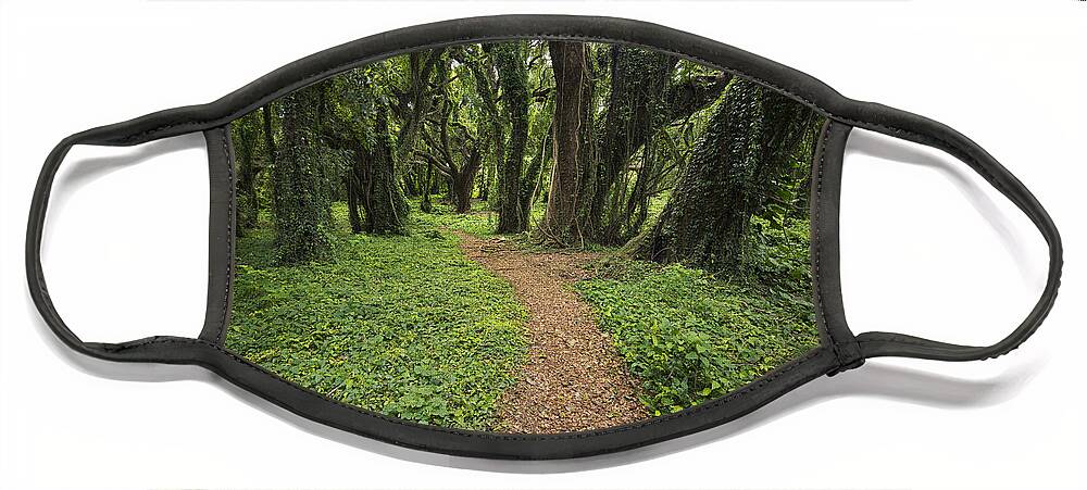 Art Face Mask featuring the photograph Backwoods Path by Jon Glaser
