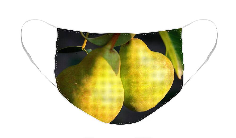Food Face Mask featuring the photograph Backyard Garden Series - Two Pears by Carol Groenen