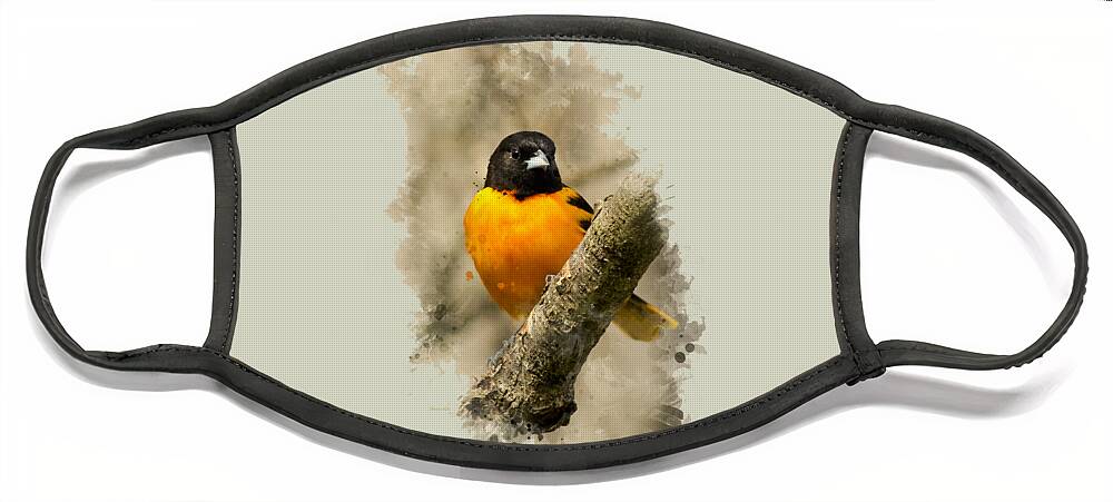 Baltimore Oriole Face Mask featuring the mixed media Baltimore Oriole Watercolor Art by Christina Rollo
