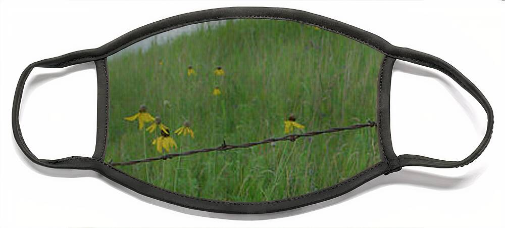 Barbwire Face Mask featuring the photograph Barb Wire Prairie by Troy Stapek