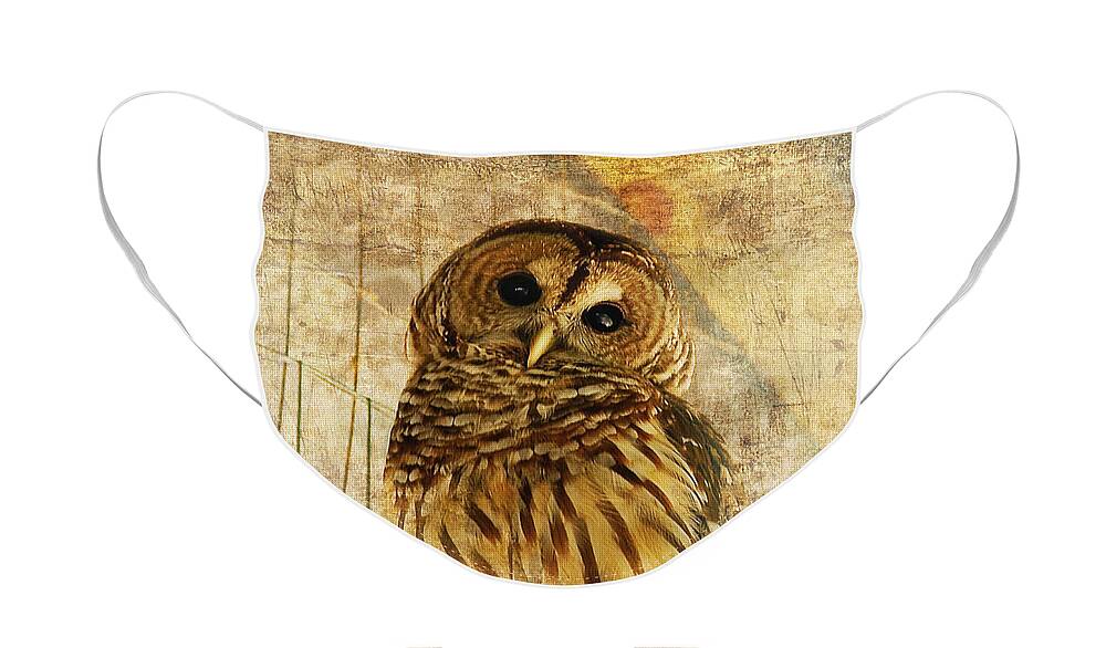 Owl Face Mask featuring the photograph Barred Owl by Lois Bryan