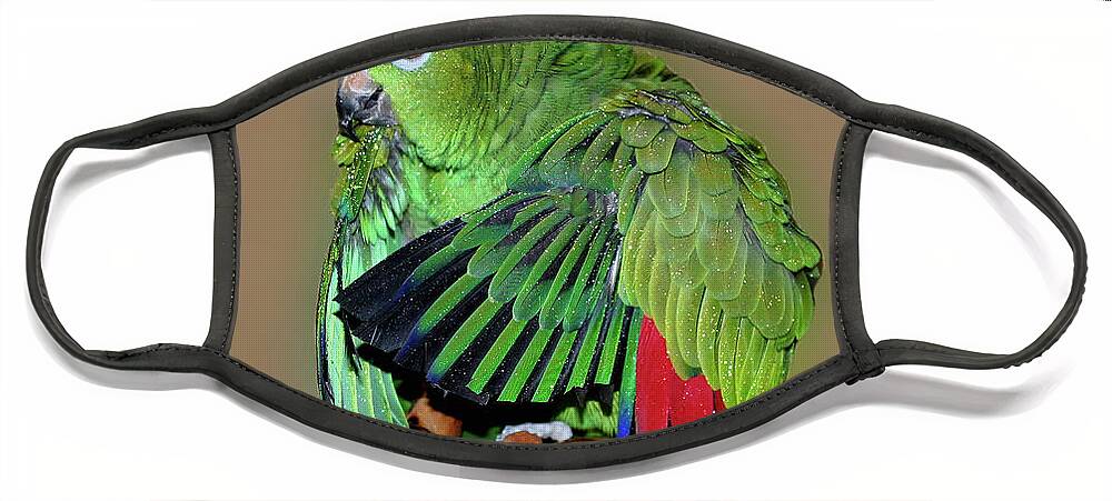 Parrot Face Mask featuring the photograph Bathing Beauty Amazon Parrot by Smilin Eyes Treasures