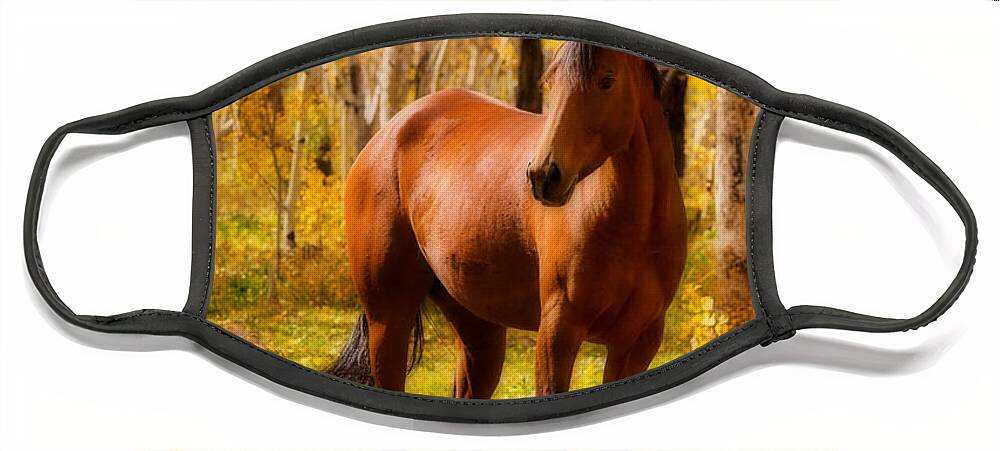 Horse Face Mask featuring the photograph Beautiful Autumn Horse by James BO Insogna