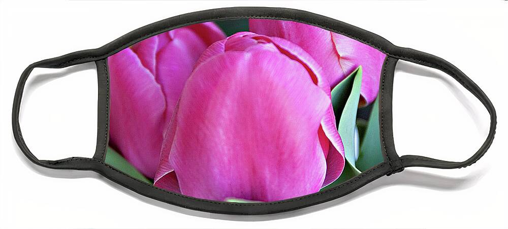 Tulips Face Mask featuring the photograph Beautiful Pink Lipstick by Sherry Hallemeier