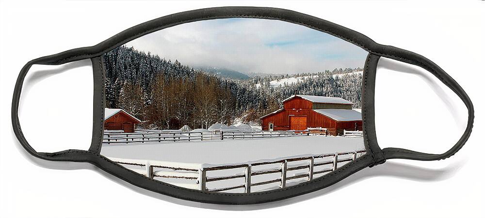 Winter Face Mask featuring the photograph Beautiful winter morning by Ronnie And Frances Howard