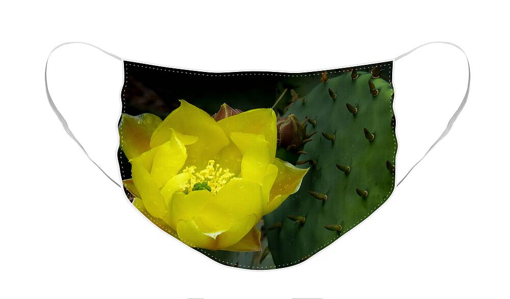 Flower Face Mask featuring the photograph Beauty and the Beast by Terry Ann Morris
