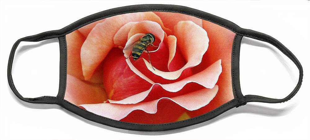 Roses Face Mask featuring the photograph Bee on Rose by Gina Fitzhugh
