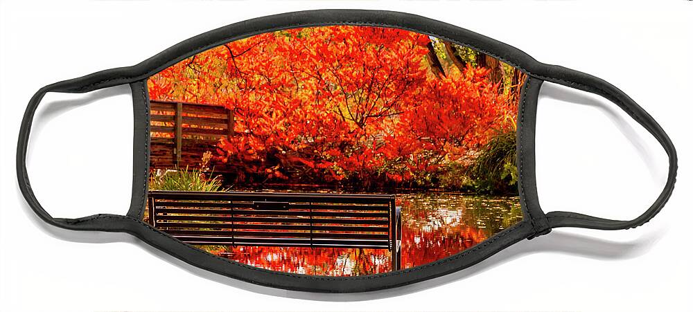 Hudson Gardens Face Mask featuring the photograph Bench by the Pond by Teri Virbickis