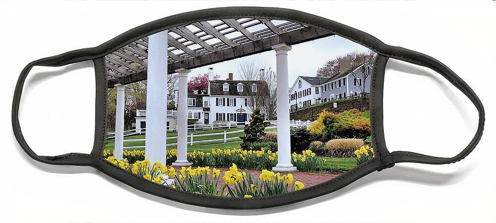Pergola Face Mask featuring the photograph Beneath the Pergola by Janice Drew